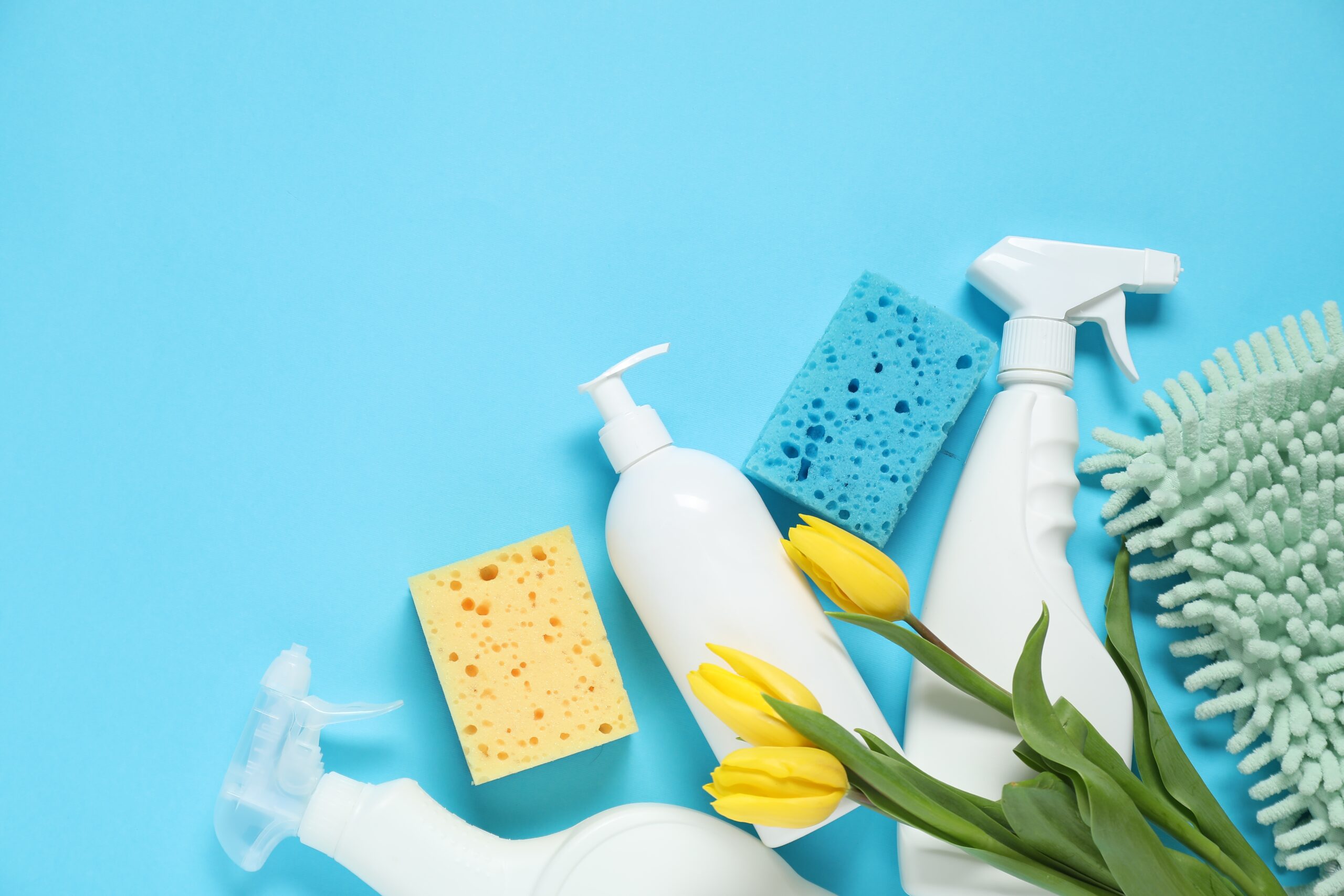 Reinigungsmittel und Tulpen für Grundreinigung in Hannover